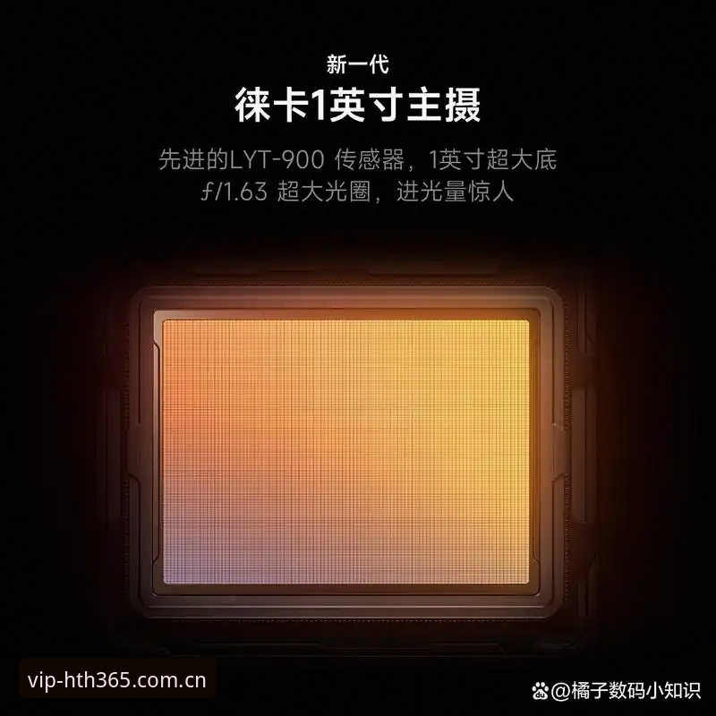 资深用户实测：HTH体育观赛安全性究竟如何？从下载到登录的完整避坑指南
